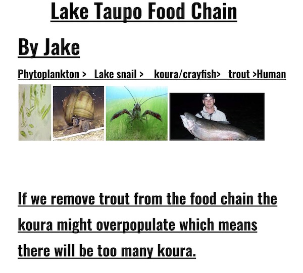 inquiry-lakefoodchain-kelly-05.jpeg